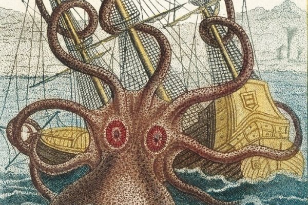 Kraken dark net