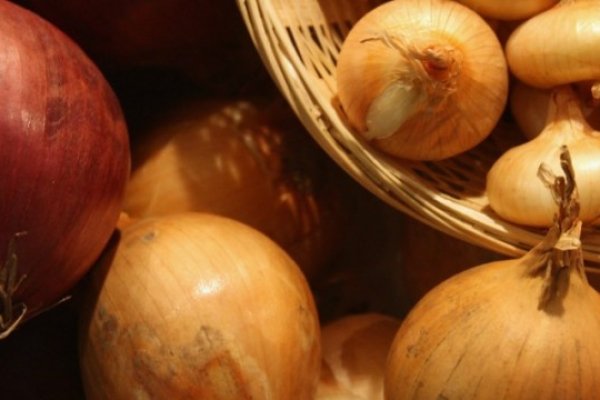 Наркошоп кракен